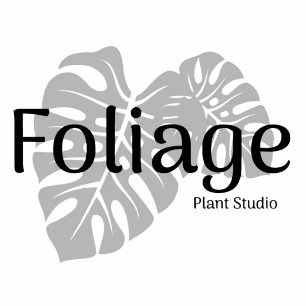 Foliage Plant Studio