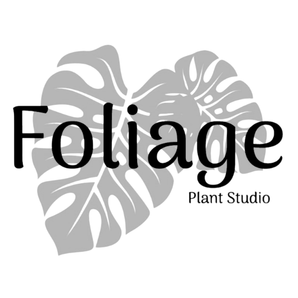 Foliage Plant Studio