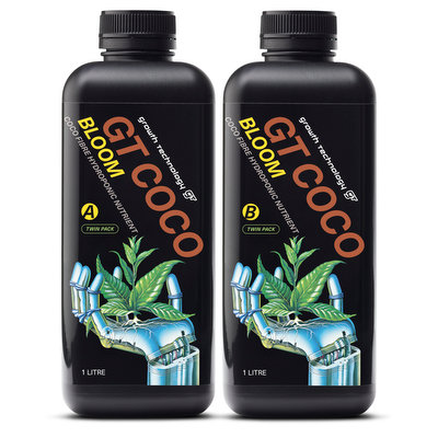 GT Coco Bloom