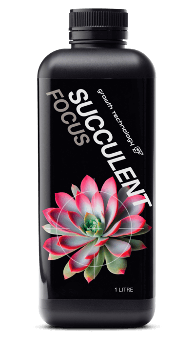 GT Succulent Focus will provide your succulents with all the essential nutrients that are required to ensure they are kept healthy and vibrant.