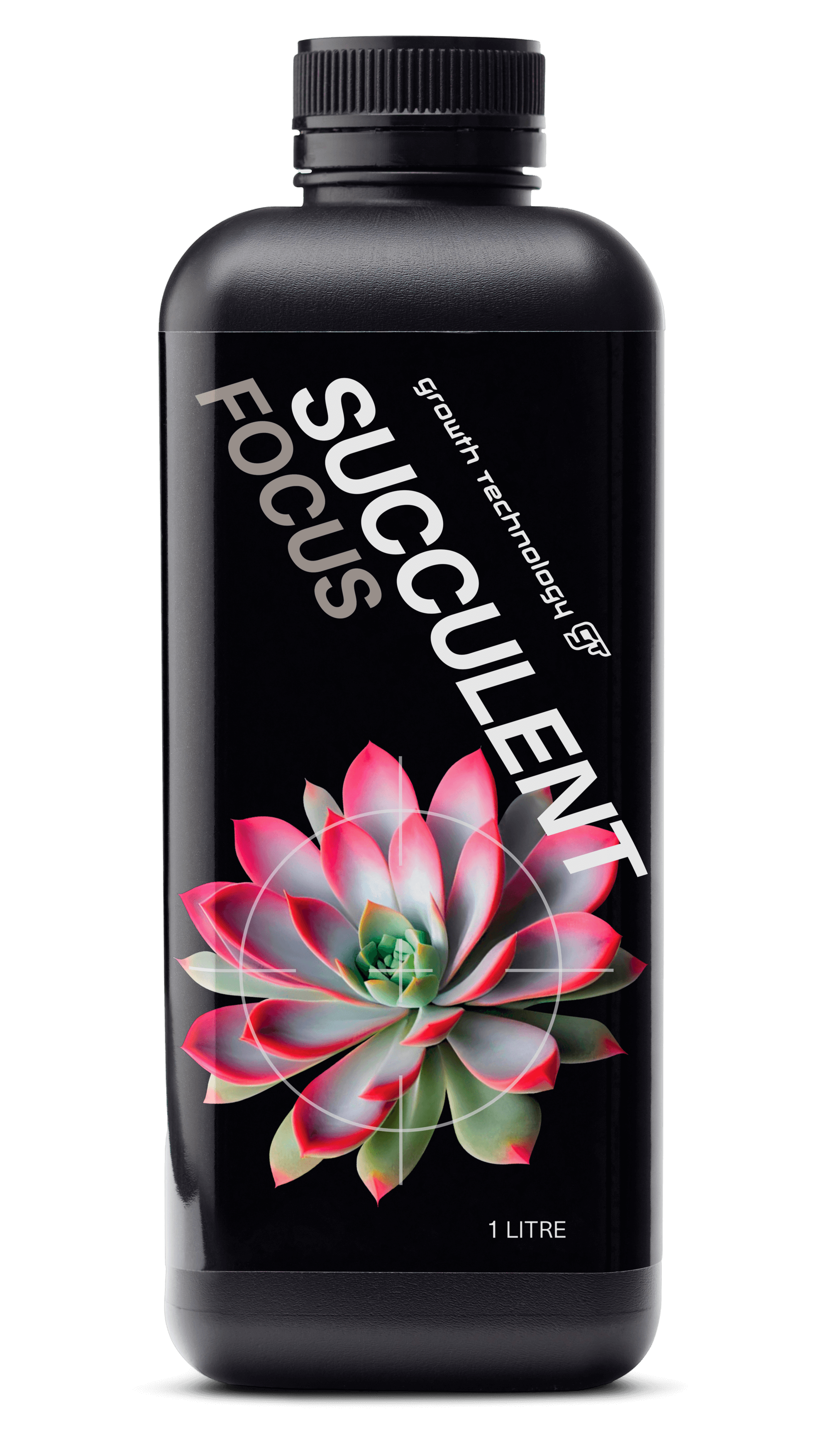 Succulent Focus