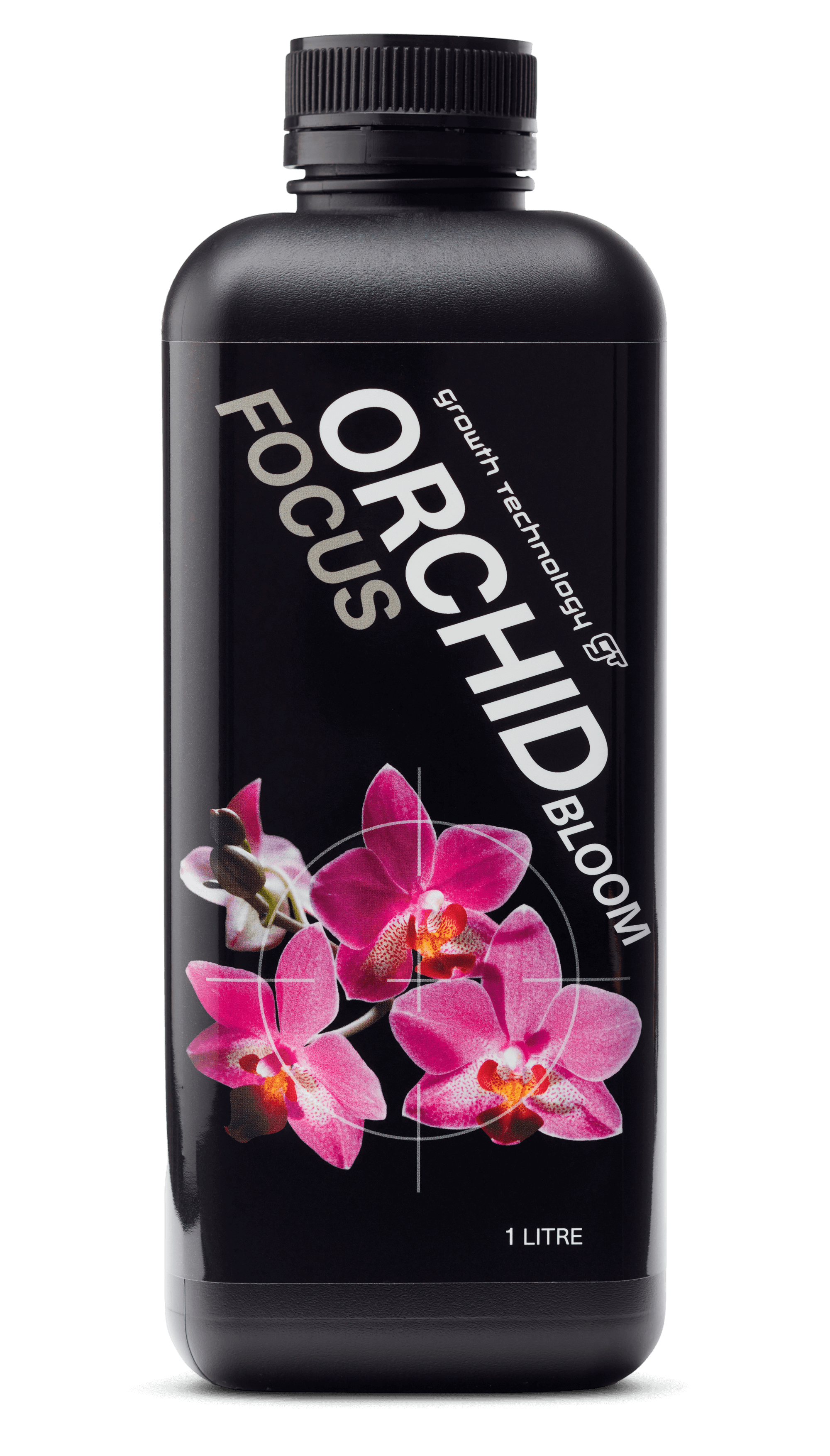 Orchid Bloom Focus