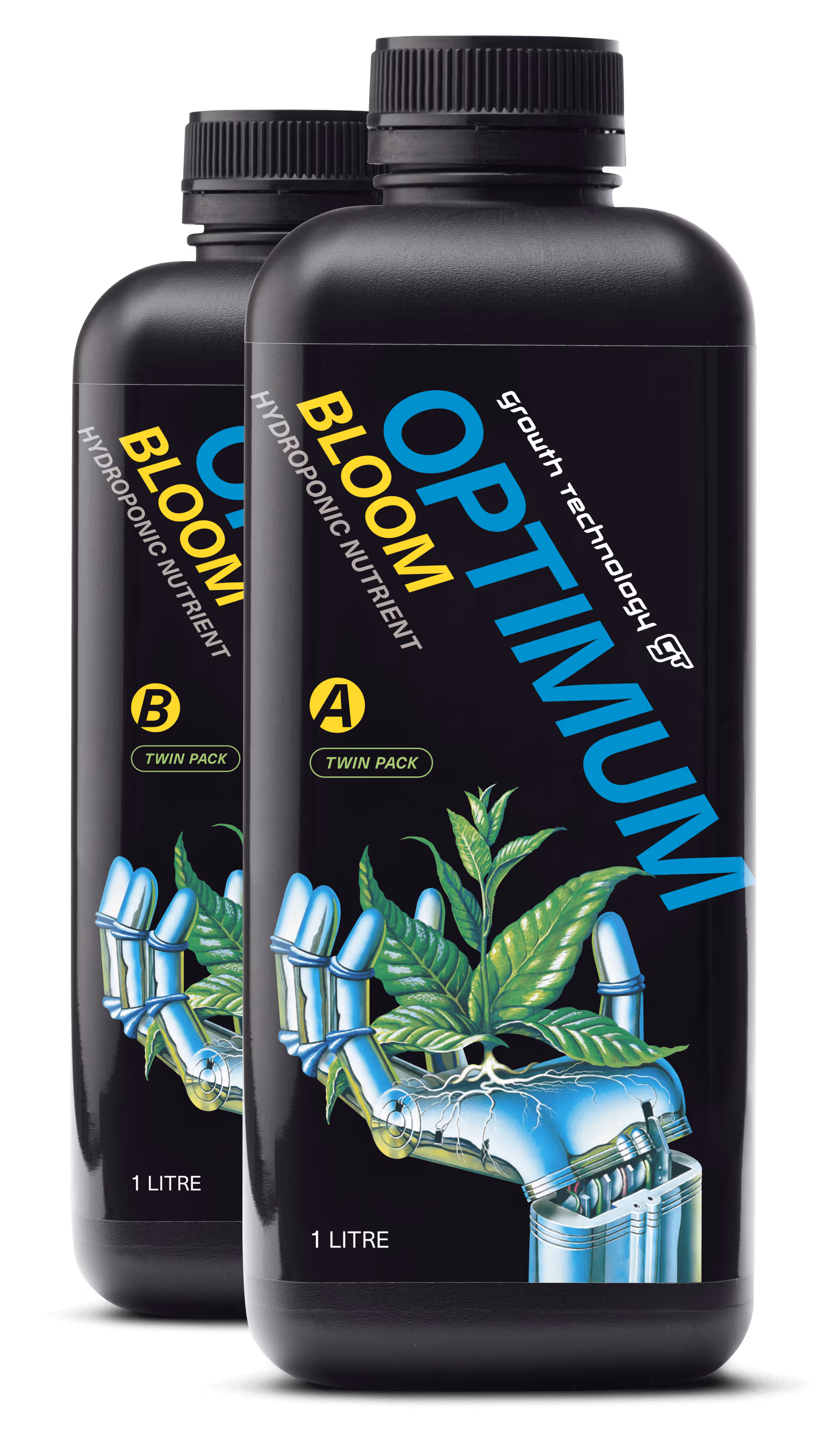 Optimum Bloom