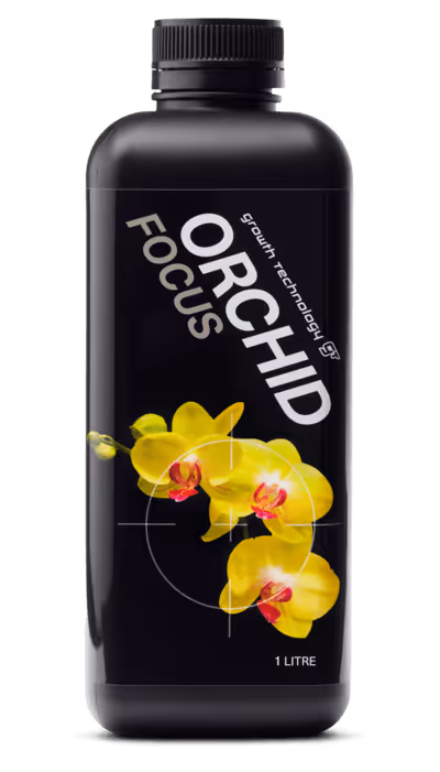 Orchid Focus is specifically formulated to meet the exacting needs of most orchids. Entirely free from urea which has been shown to be toxic to certain orchids. Nitrogen supplied in 100% nitrate form for strong healthy growth over long periods.