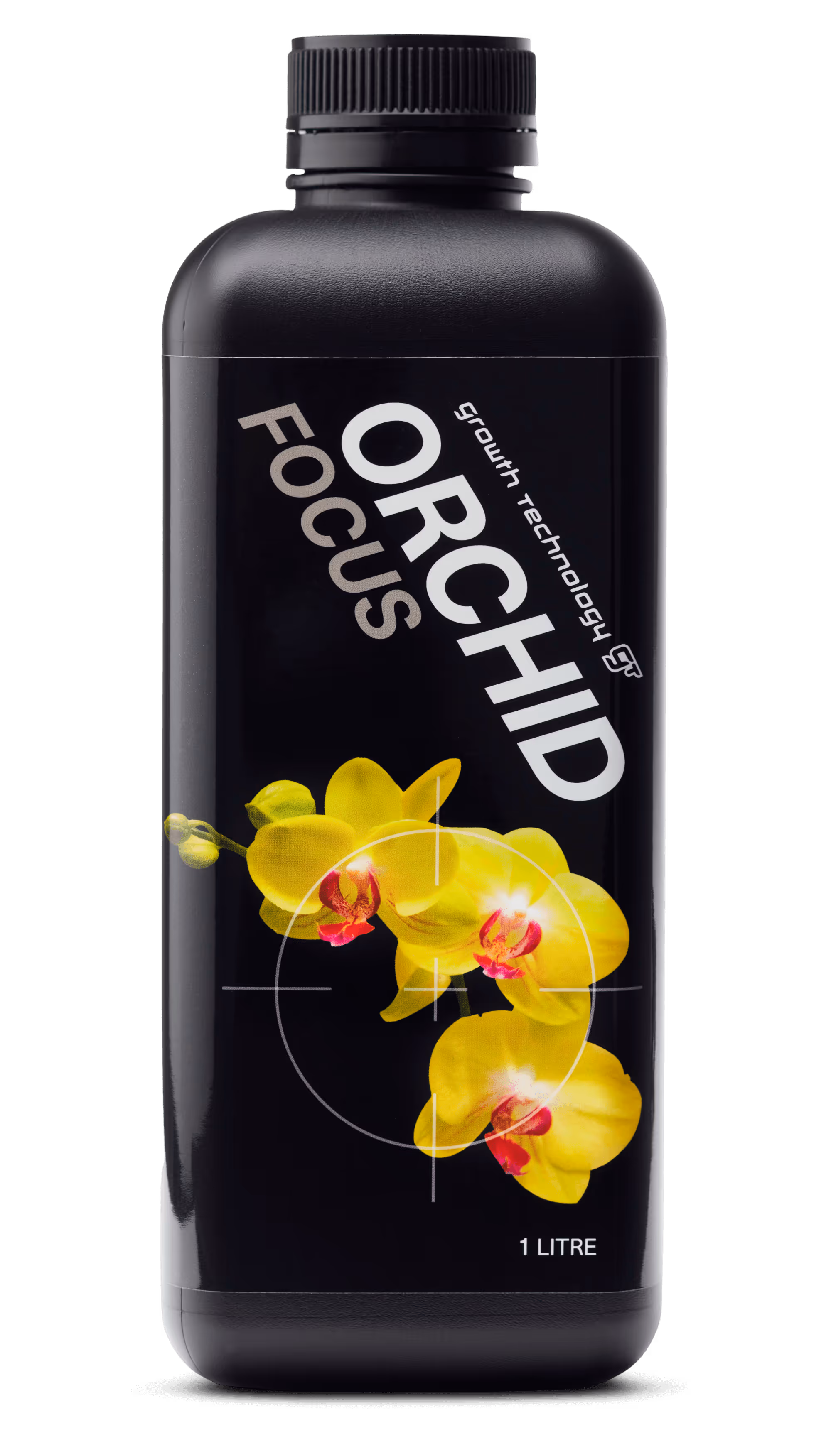 Orchid Focus