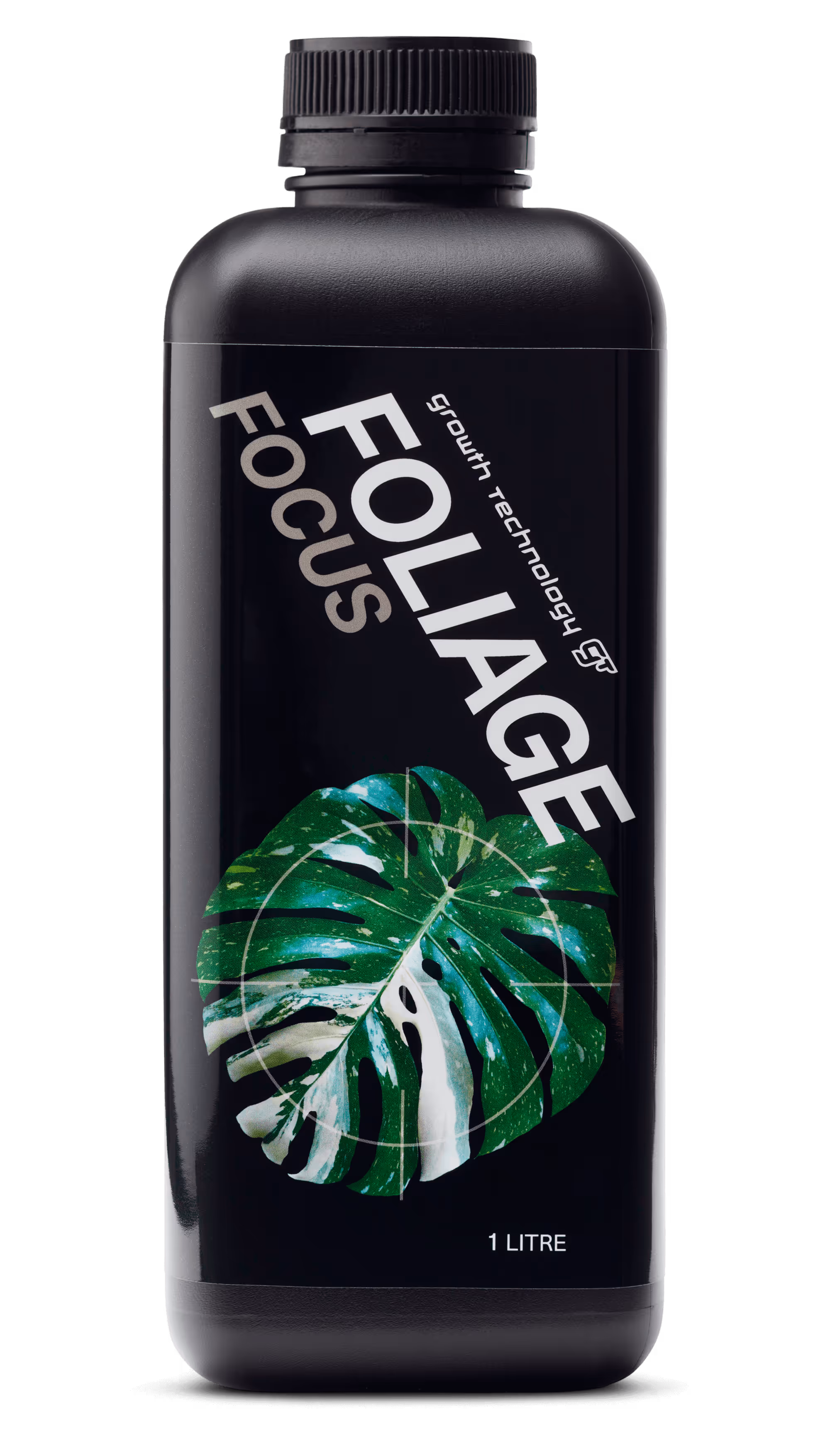 Foliage Focus
