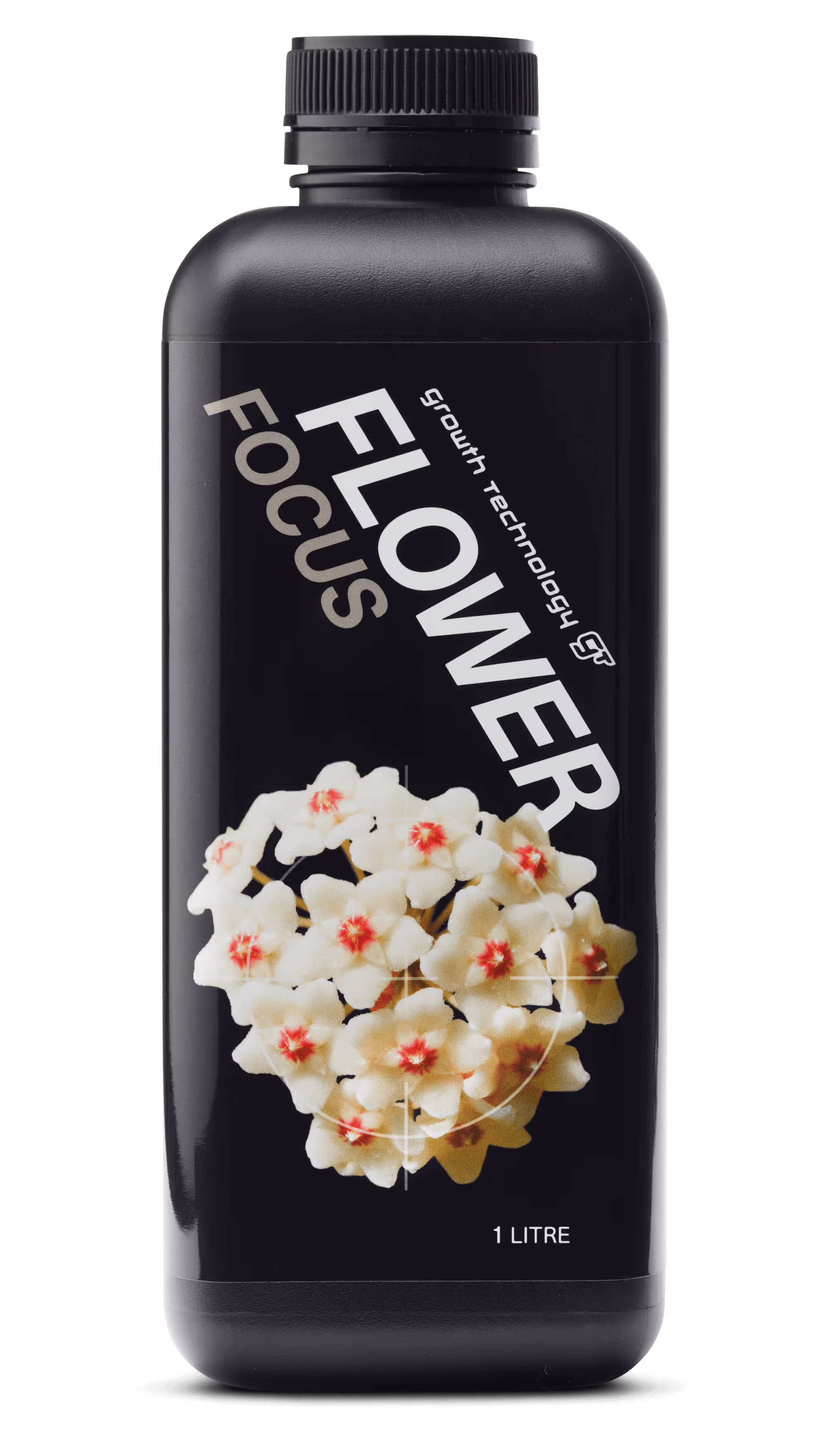 Flower Focus