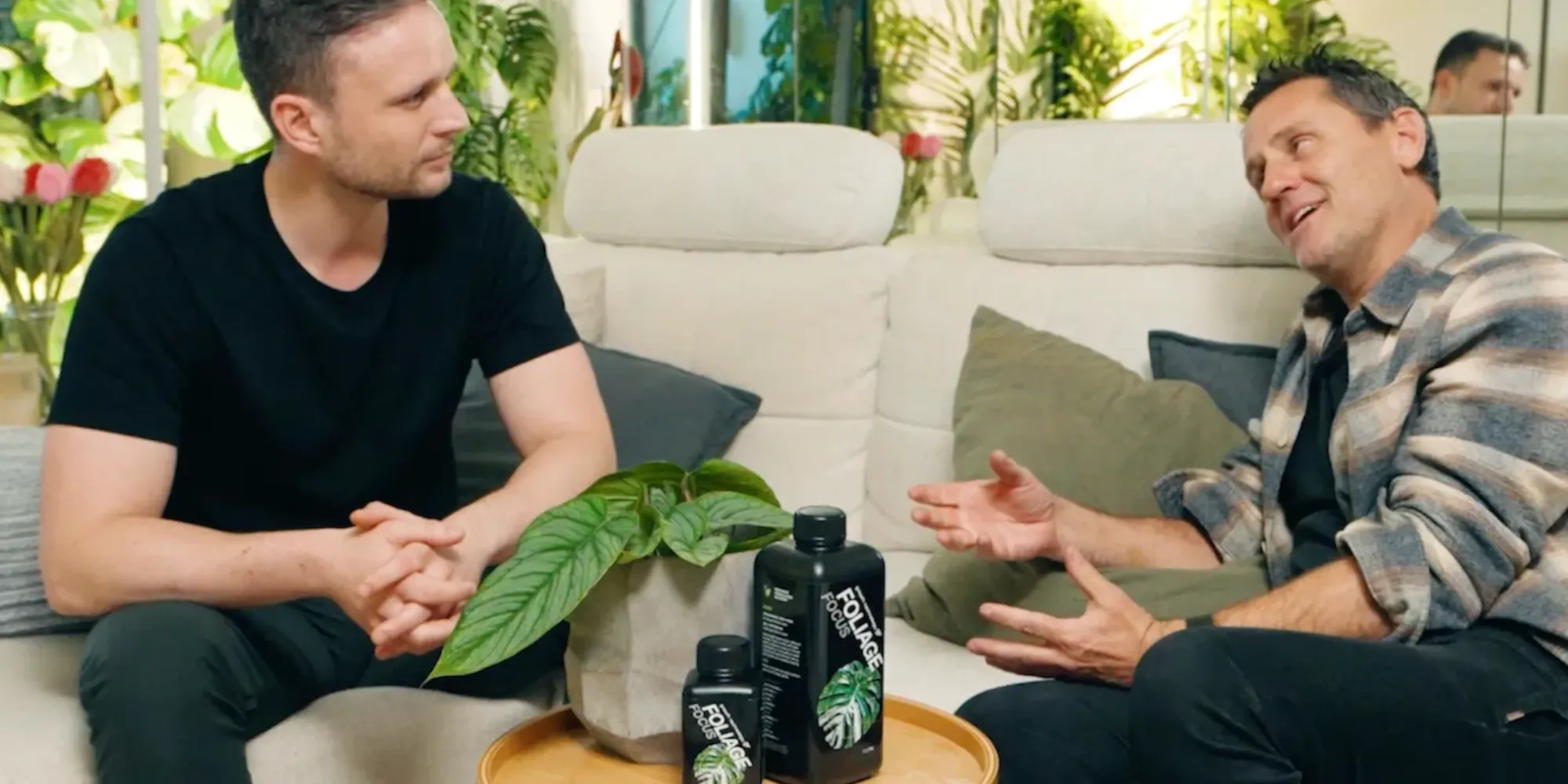 Why Indoor Plants Struggle: 5 Fixes That Change Results