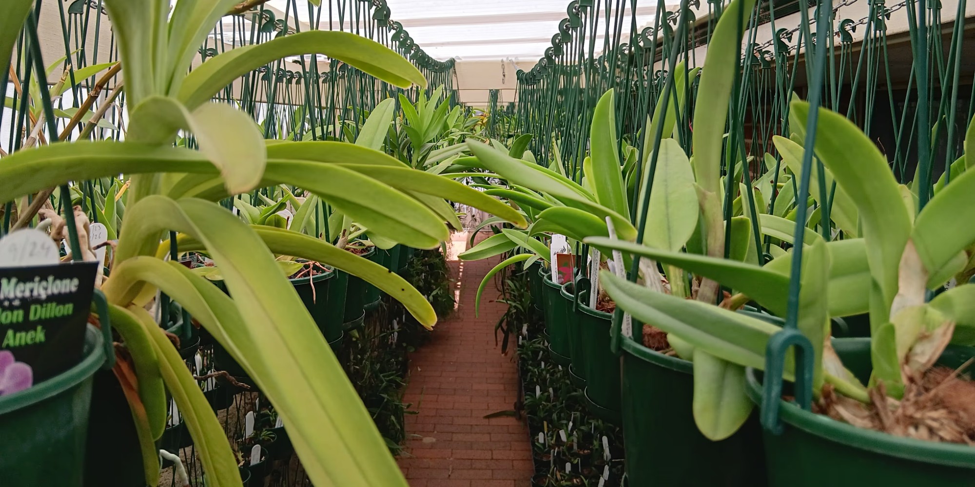 Grower Profile: Tara Peeters