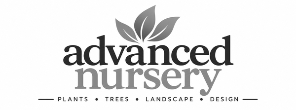 Advanced Nursery