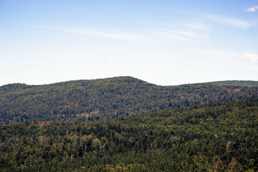 Image of the Blue Ridge Mountains near Lynchburg - furnace repair lynchburg Image of the Blue Ridge Mountains near Lynchburg - furnace repair lynchburg