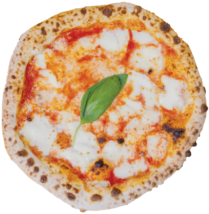 Freshly baked Neapolitan Margherita pizza with melted mozzarella, basil, and tomato sauce on a plate.