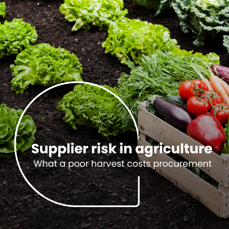 Supplier risk in agriculture: what a poor harvest costs procurement