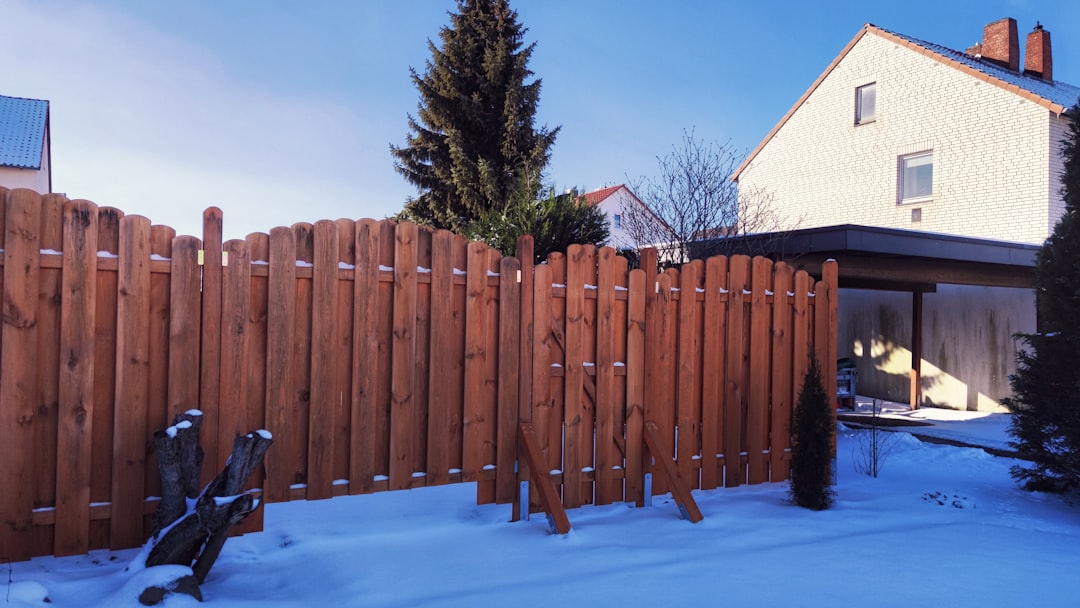 natural wood privacy fence in backyard setting - privacy fence options