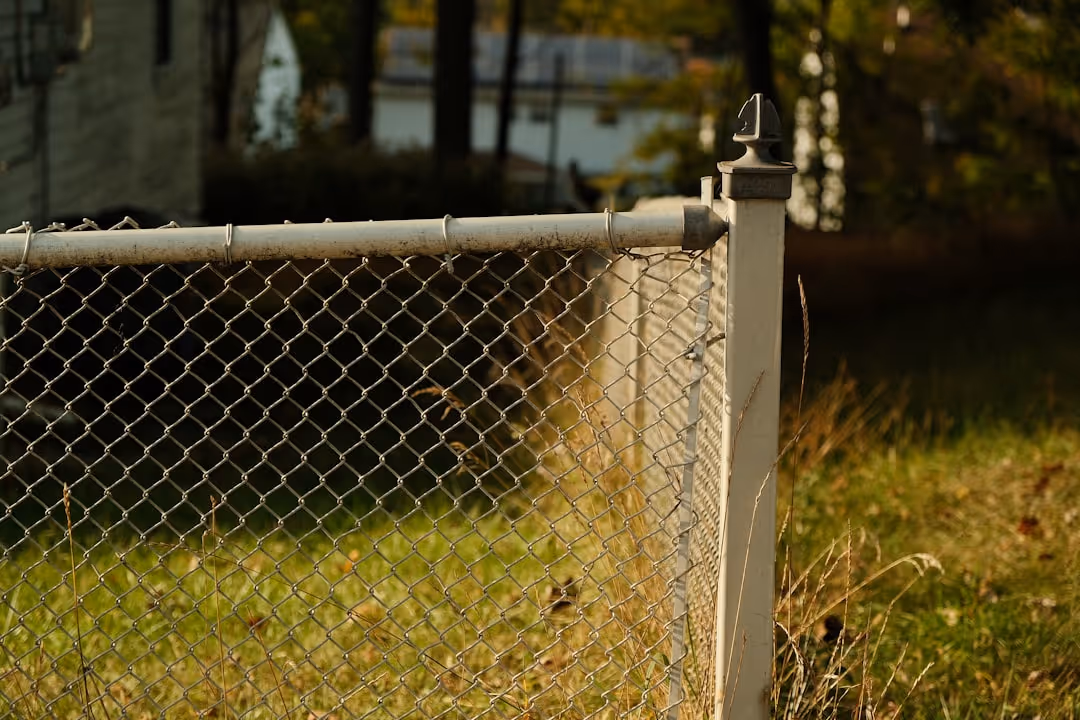 chain link backyard fence - backyard fences