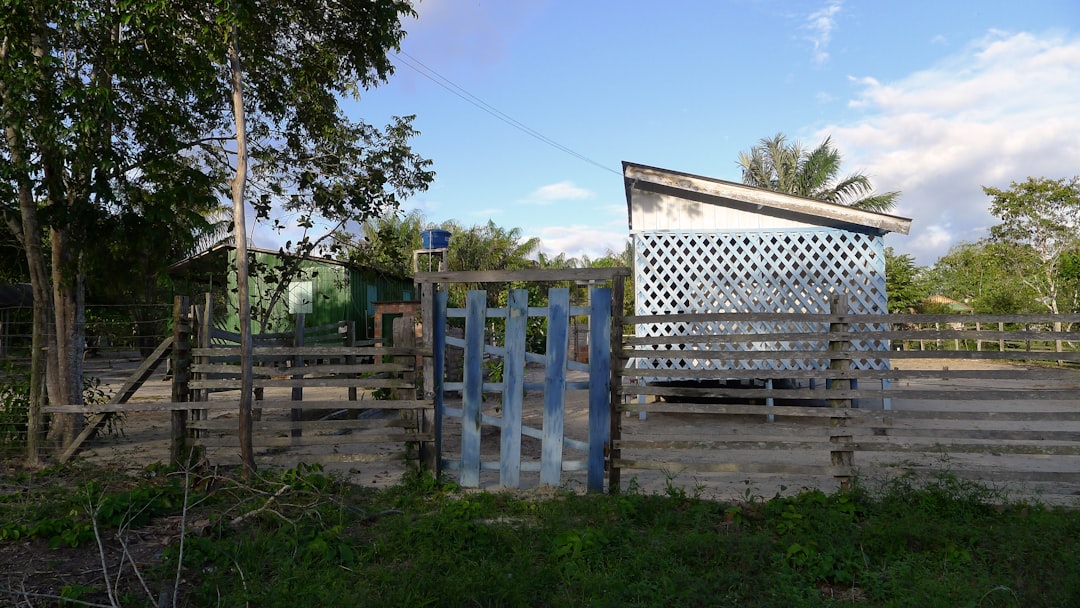 Find expert fence and gate installation near me! Learn costs, types, permits, and how to choose the best local pros for your property.