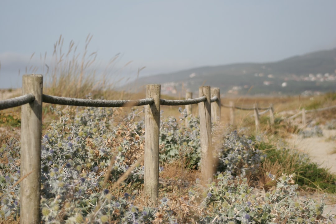 a stepped fence with decorative landscaping filling the gaps underneath - installing wood fence on a slope