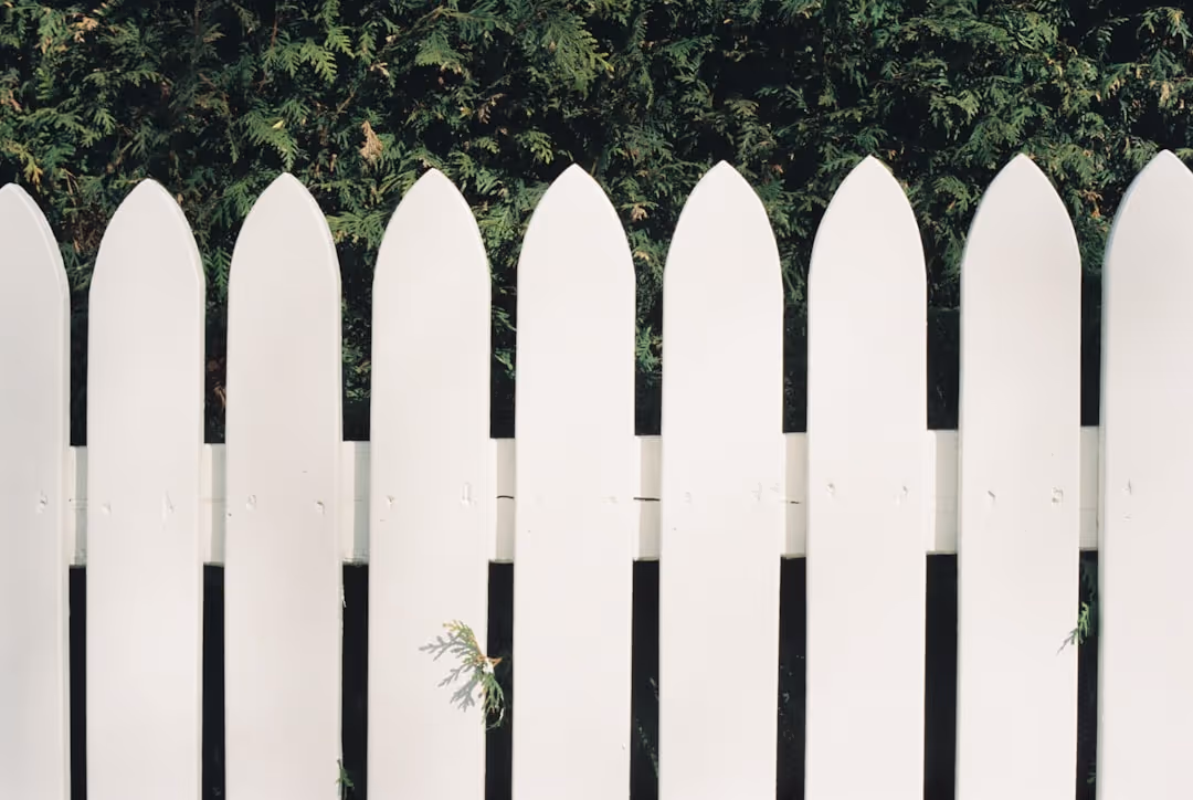 classic white picket fence in a front yard - wooden fence classic white picket fence in a front yard - wooden fence