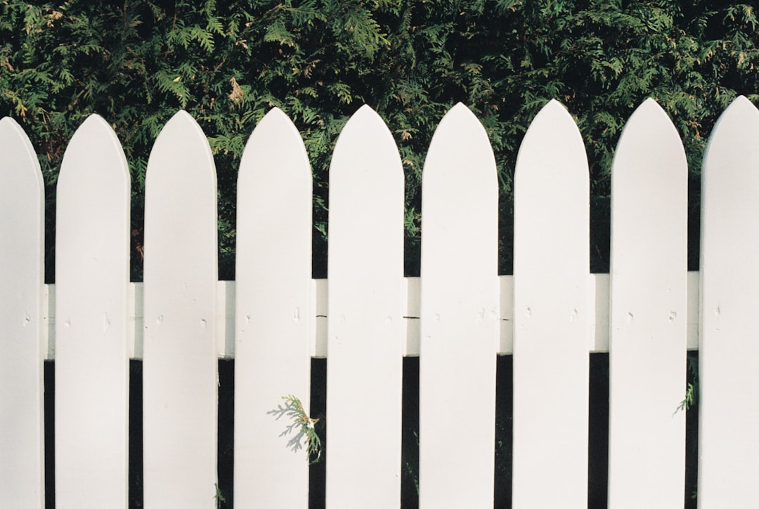 classic white picket fence in a front yard - wooden fence