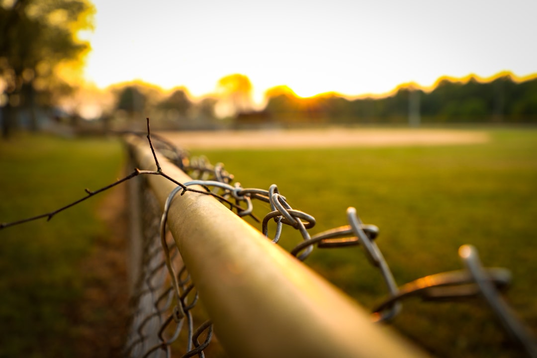 professionally installed chain link fence - galvanized steel chain