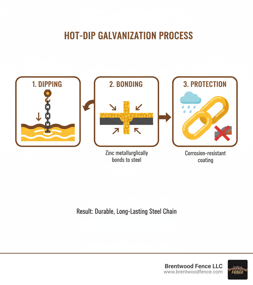 infographic showing hot-dip galvanization process with steel being dipped in molten zinc bath, zinc bonding to steel surface, and resulting corrosion-resistant coating protecting the chain from rust - galvanized steel chain infographic 