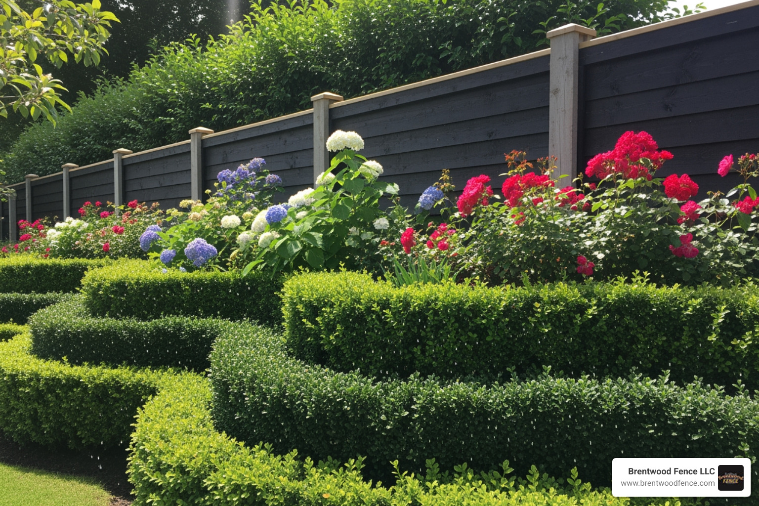 dense, layered hedge with a mix of evergreen and flowering shrubs in front of a professionally installed fence - backyard privacy design