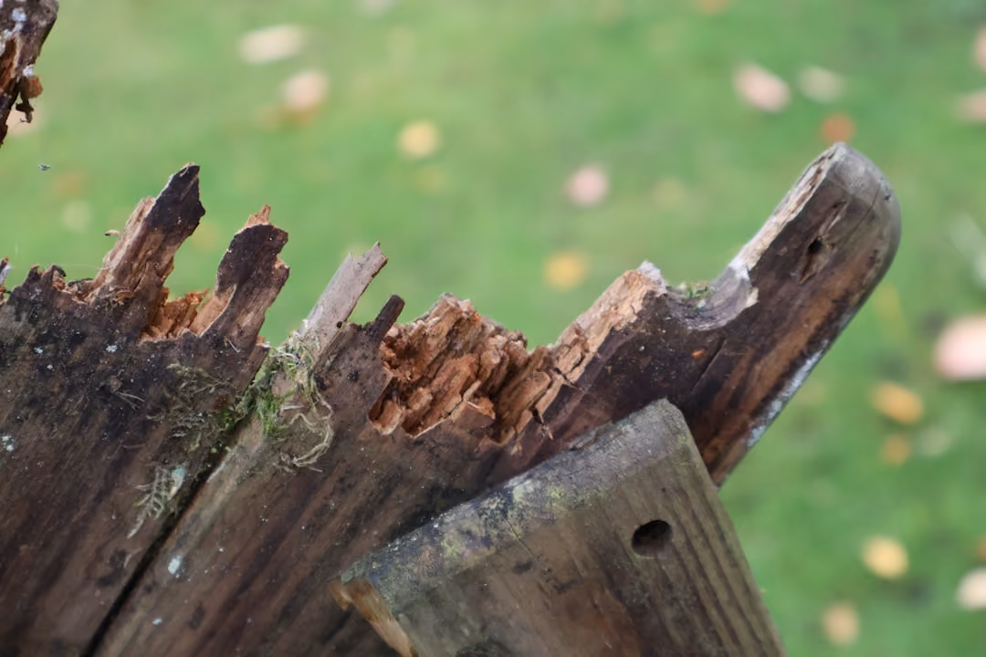 wood rot at the base of a gate - wooden gate replacement