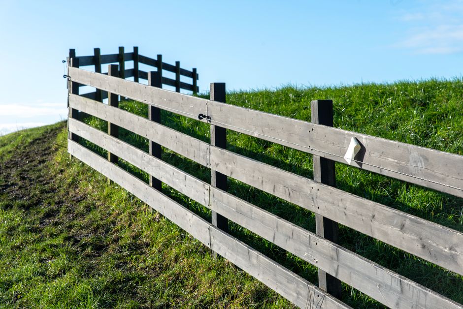 modern horizontal wood fence in a suburban backyard