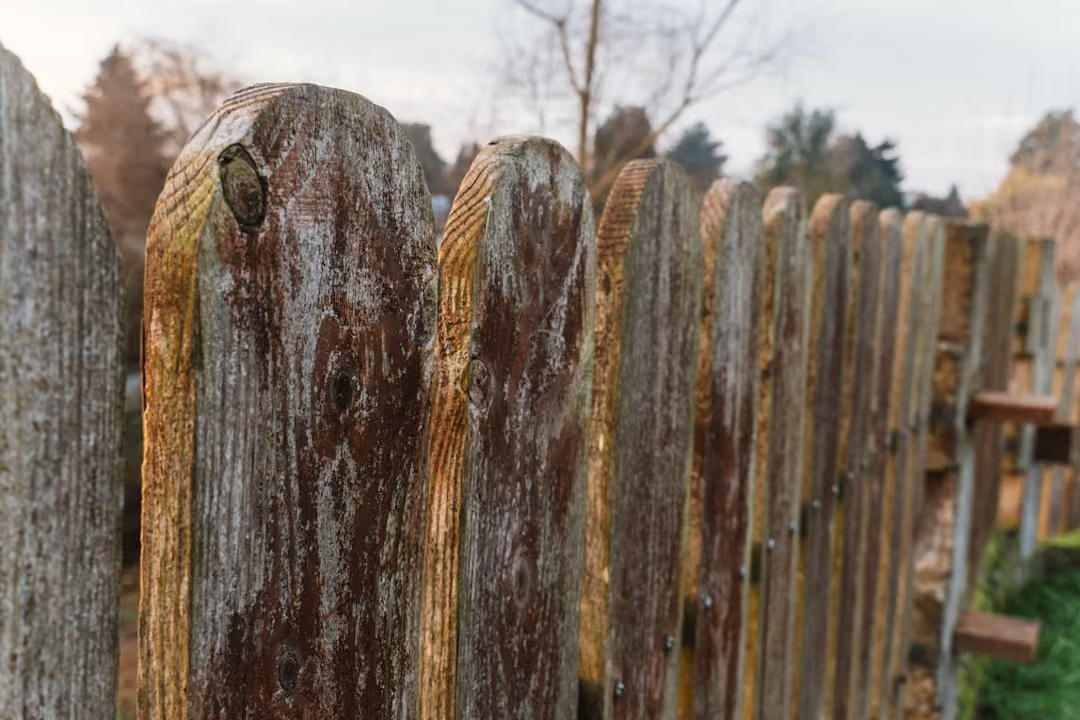Preparing a wooden fence by cleaning and sanding before staining Preparing a wooden fence by cleaning and sanding before staining