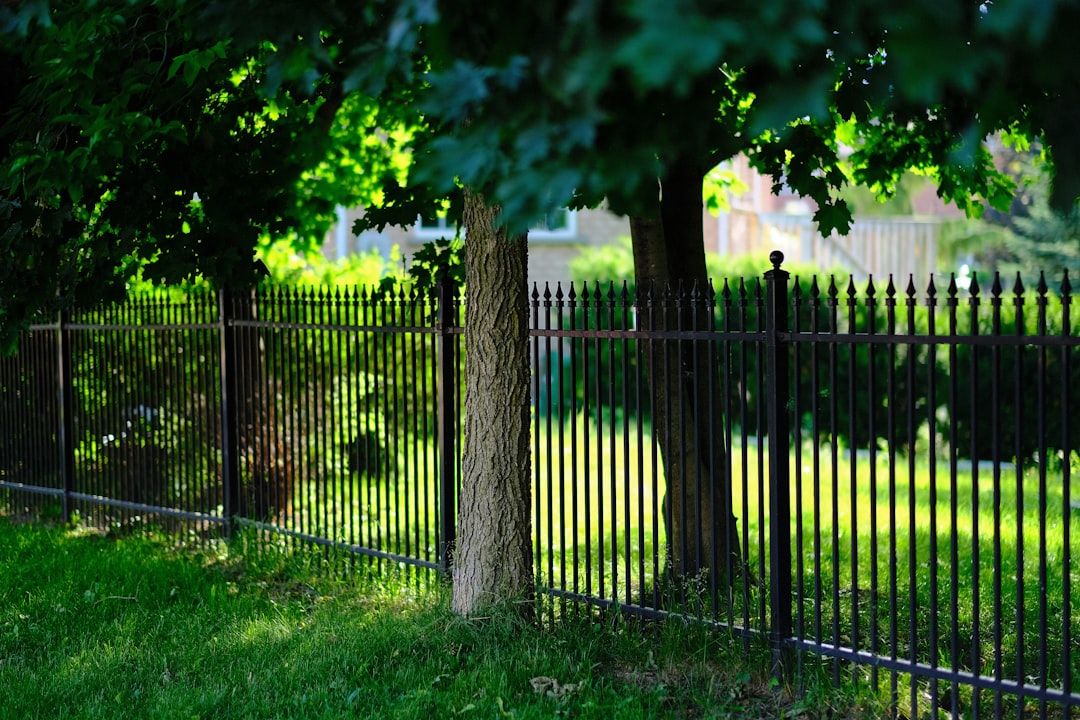completed black ornamental aluminum fence in backyard completed black ornamental aluminum fence in backyard
