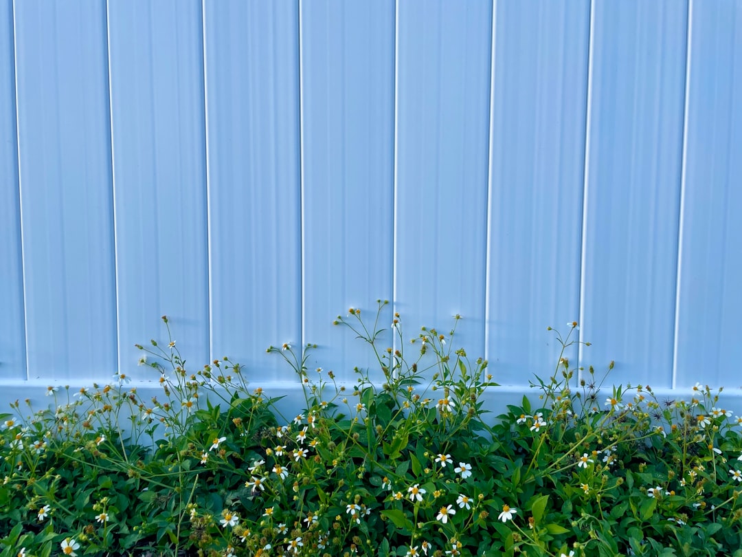 A beautiful, low-maintenance white vinyl privacy fence in a manicured backyard A beautiful, low-maintenance white vinyl privacy fence in a manicured backyard