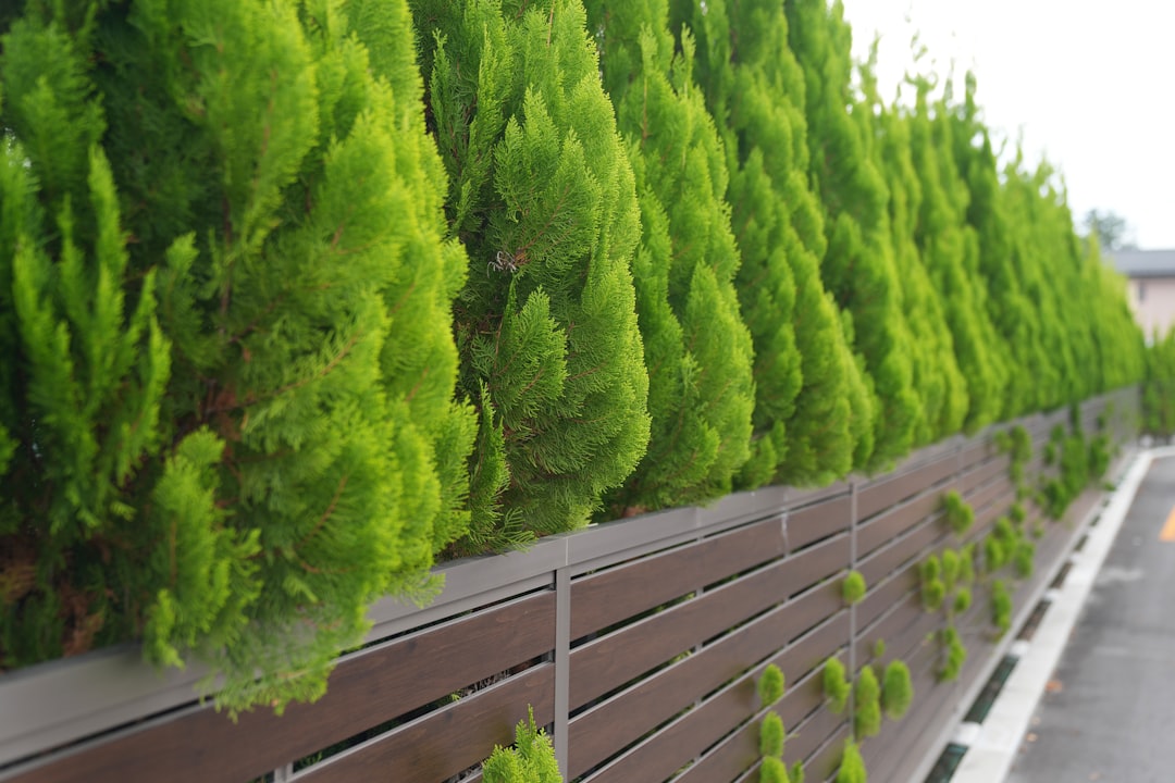modern privacy fence with planter boxes and lighting modern privacy fence with planter boxes and lighting