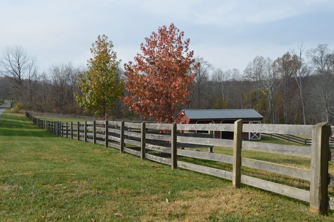 Residential fence styles along property boundary