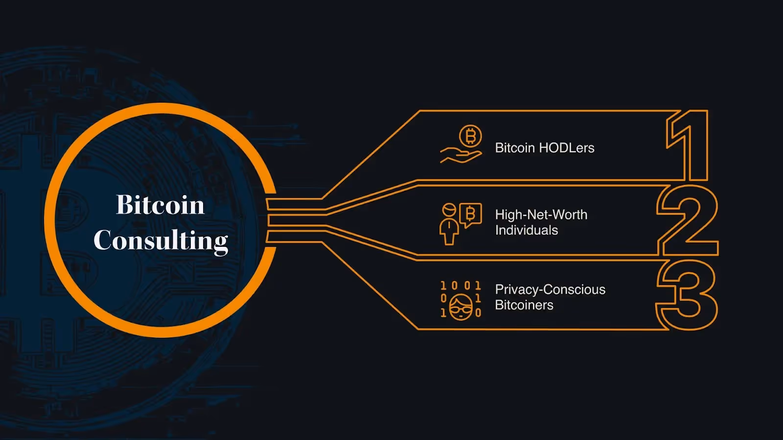 The people who can benefit from Bitcoin Consulting Services, shown in a diagram