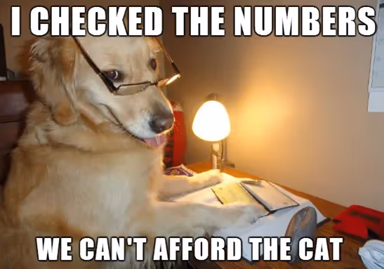 We Can't Afford the Cat - dog post - Imgur