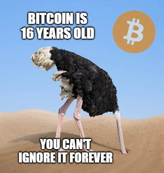 A bird with long legs and a bitcoin signAI-generated content may be incorrect.