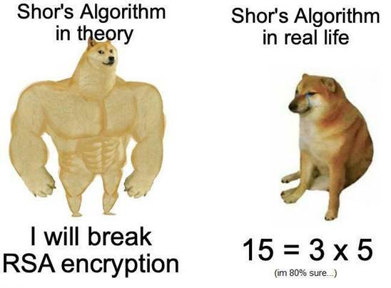 Quantum computers in a nutshell: · ProgrammerHumor.io