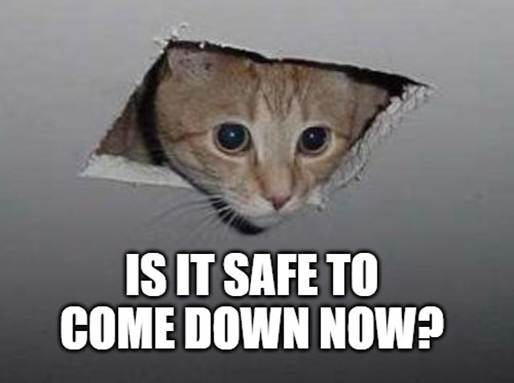 A cat looking through a hole in a ceilingAI-generated content may be incorrect.