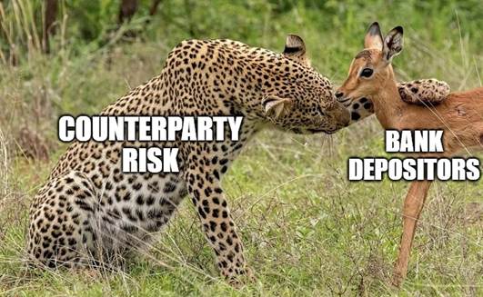 A cheetah and a deerAI-generated content may be incorrect.