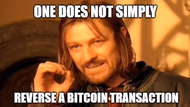 A person with long hair and beardAI-generated content may be incorrect.