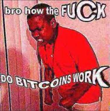 Bro, how the fuck do Bitcoins work
