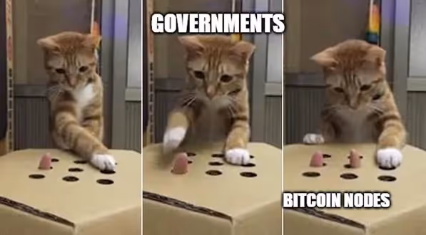 A cat on a boxAI-generated content may be incorrect.