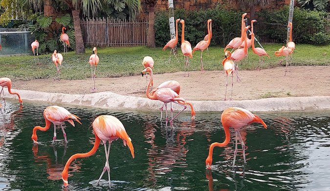 Everglow Miami-Dade County Aesthetic Services