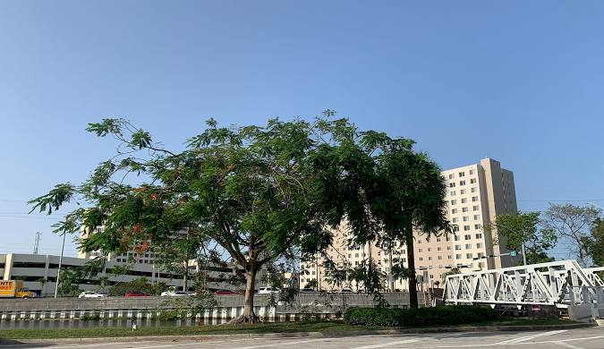 Professional Aesthetic Services Miami-Dade County