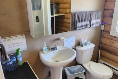 Small bathroom with a white pedestal sink, toilet, tissue box, hand soap, and gray towels hanging on a wooden log wall.