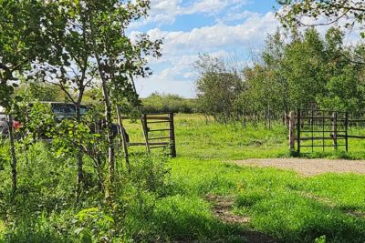 Grassy rural path leading to two open metal gates with green trees and a partly cloudy sky.