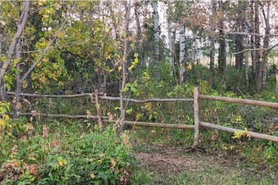 Wooden fence in front of a dense forest with green and autumn-colored foliage.