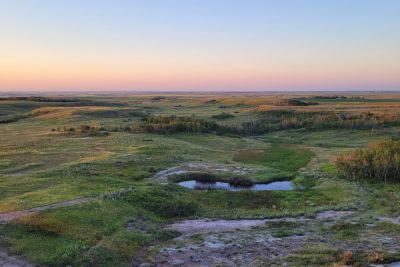 Grassy coulees with a small spring and clusters of trees under a clear sky at sunset.