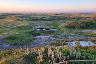 Coulees with small springs and scattered trees under a clear sky at sunset.