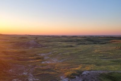 Expansive green grassland under a clear sky during sunrise or sunset.